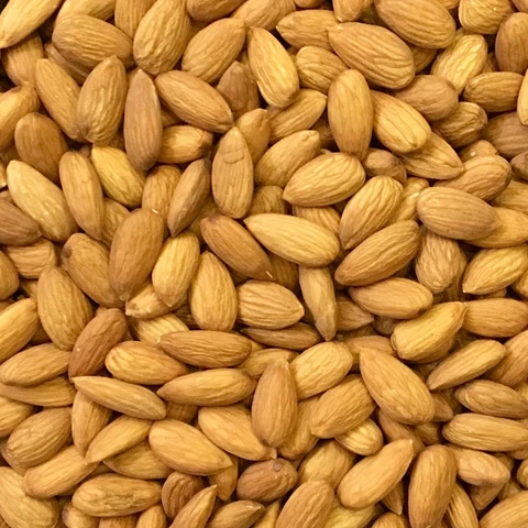 Almond SP back