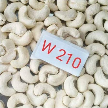 Cashew 210